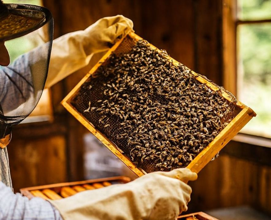 včelař u včel min